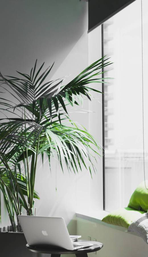 alesia-kaz-E8dAbseeFLo-unsplash