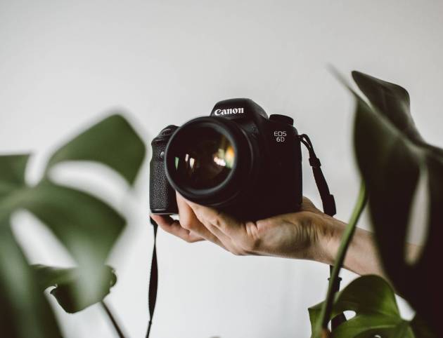 lilly-rum-L6W9ZIQ5saM-unsplash lilly-rum-L6W9ZIQ5saM-unsplash
